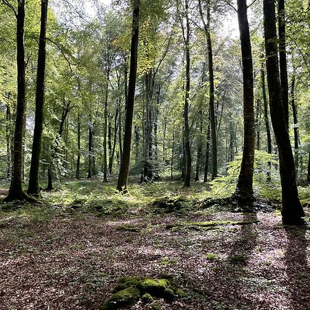 Le Courtil Villa Cerisy-la-Foret Kültér fotó